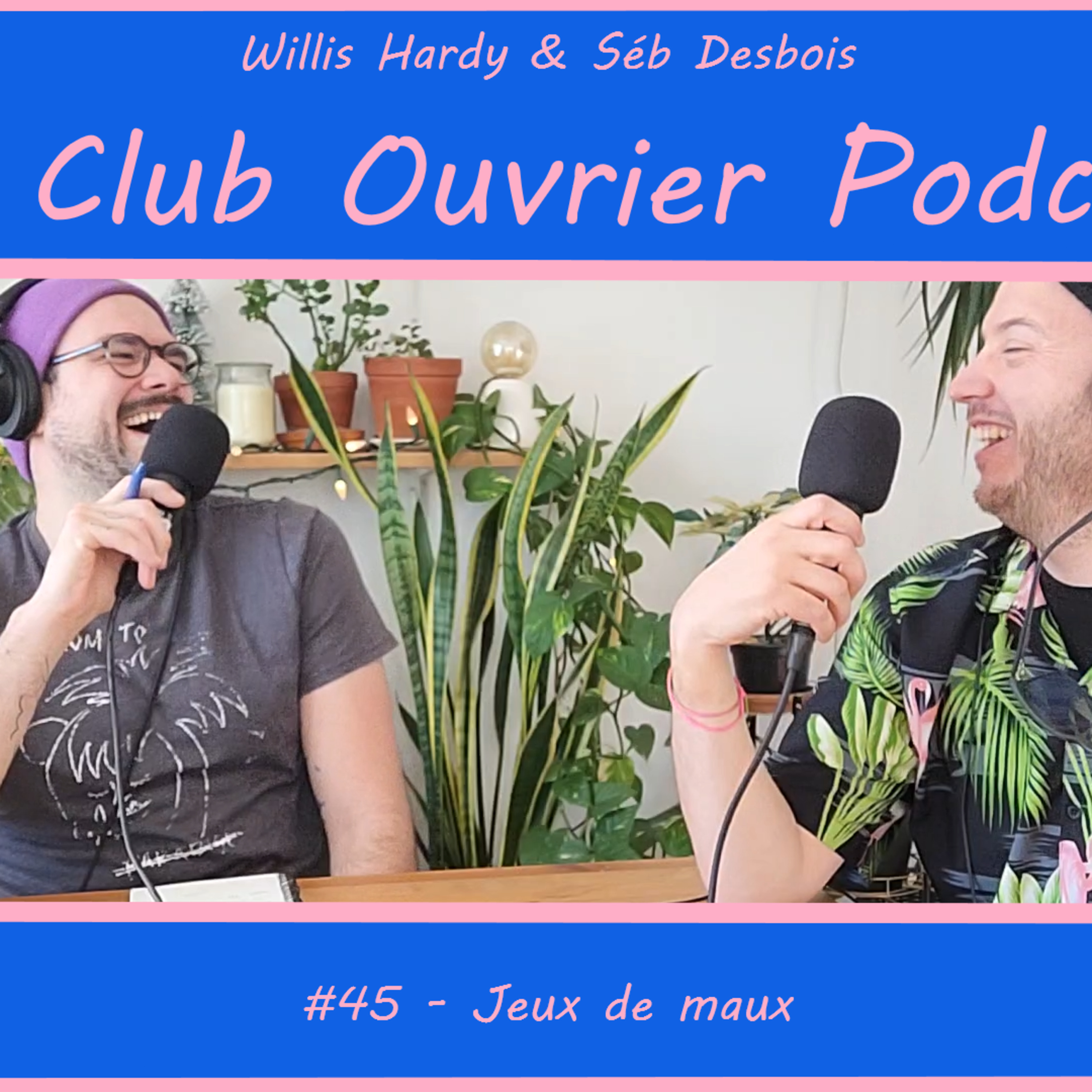 45 - Jeux de maux