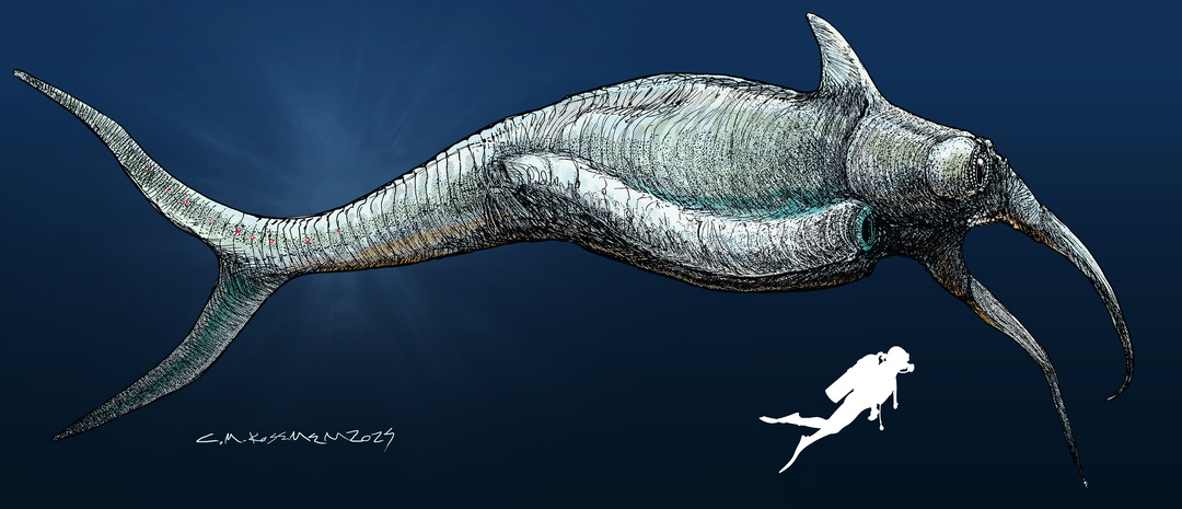 europa hook fish A realistic 