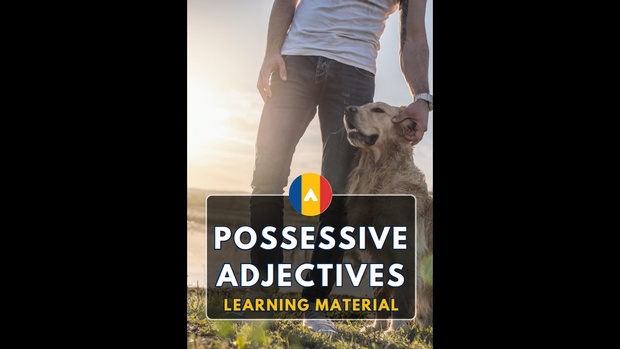 Possessive Adjectives Learning Material
