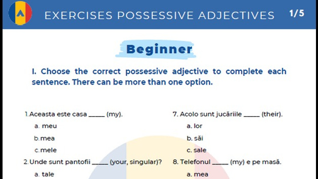 Possessive Adjectives Exercises