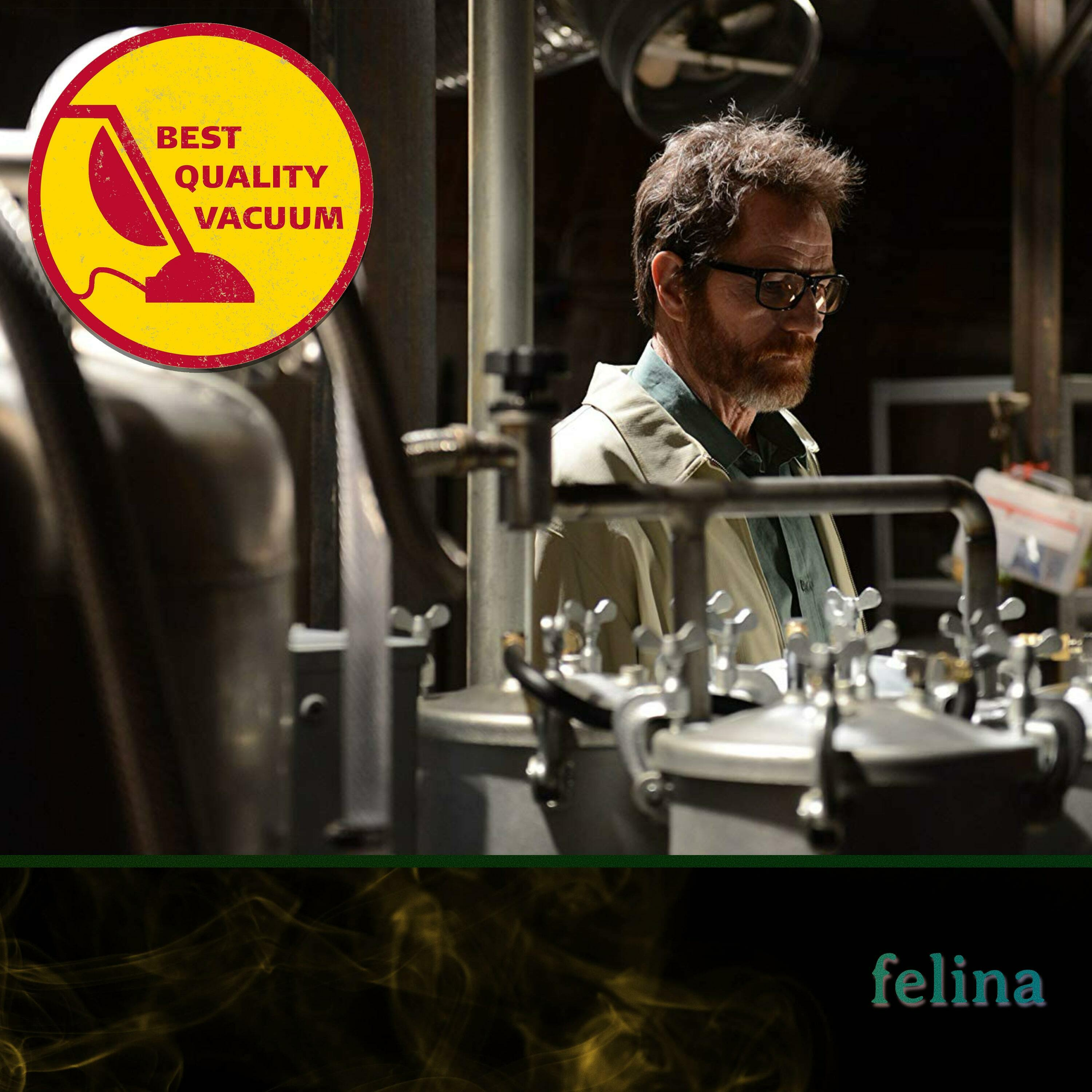 Best Quality Vacuum 66: Felina episode artwork