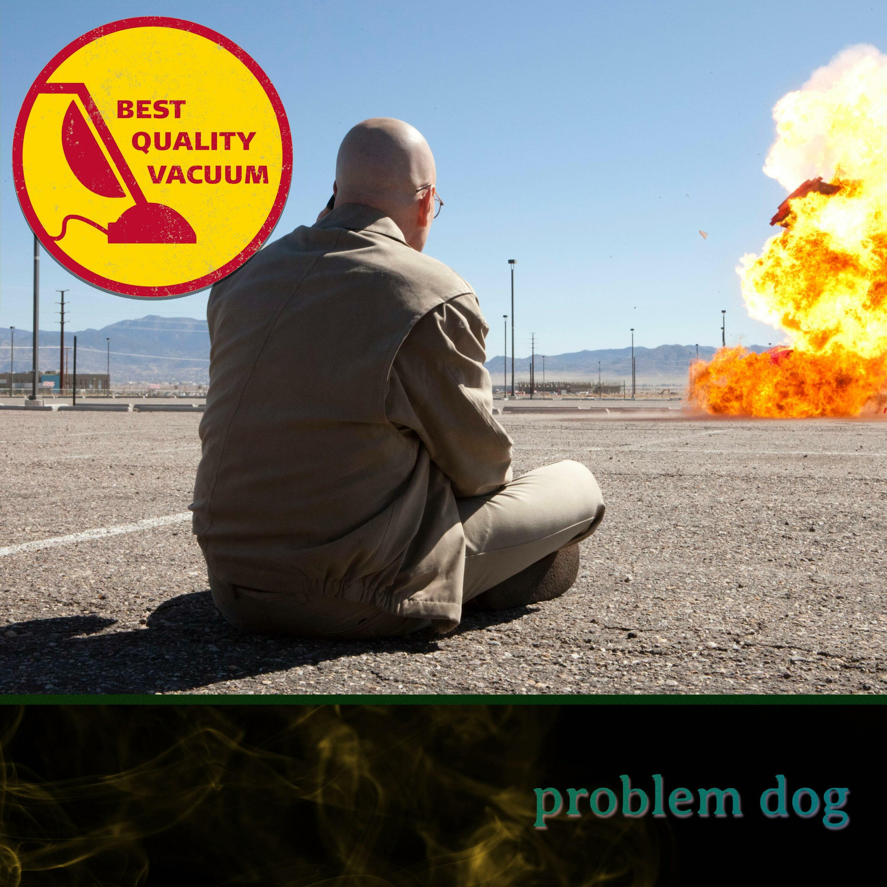 Best Quality Vacuum 43: Problem Dog
