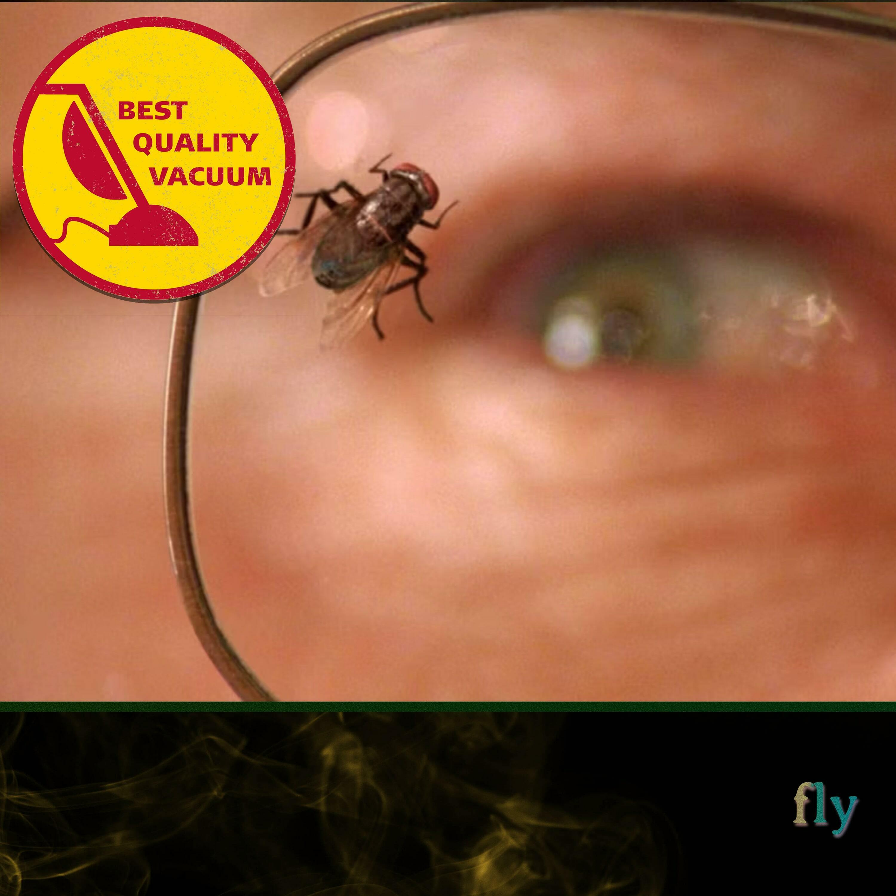 Best Quality Vacuum 32: Fly