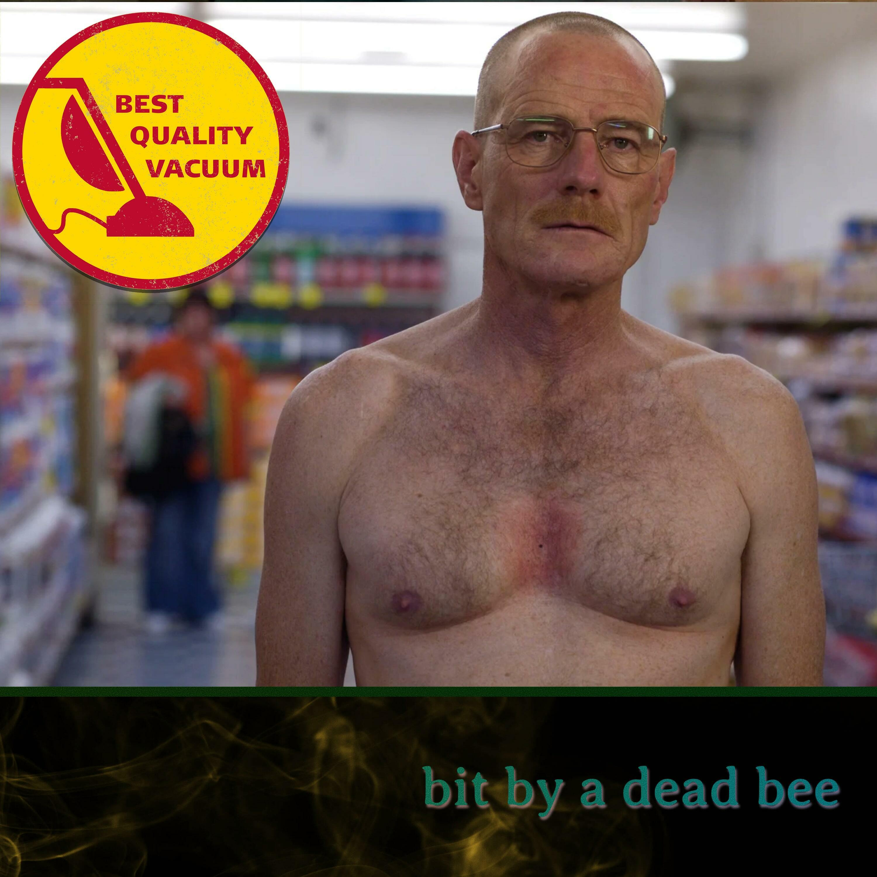 Best Quality Vacuum 11: Bit by a Dead Bee