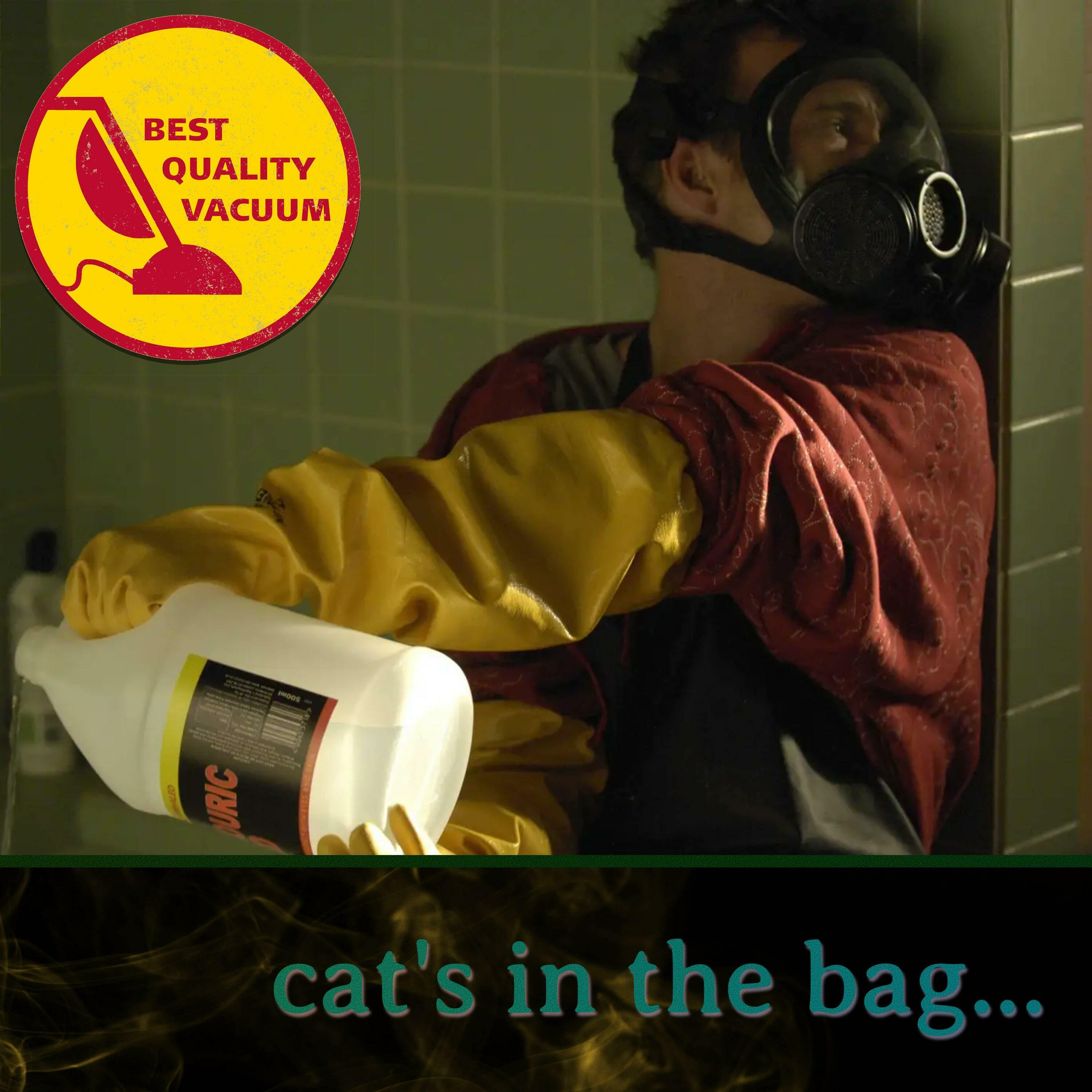 Best Quality Vacuum 2: Cat's in the Bag...