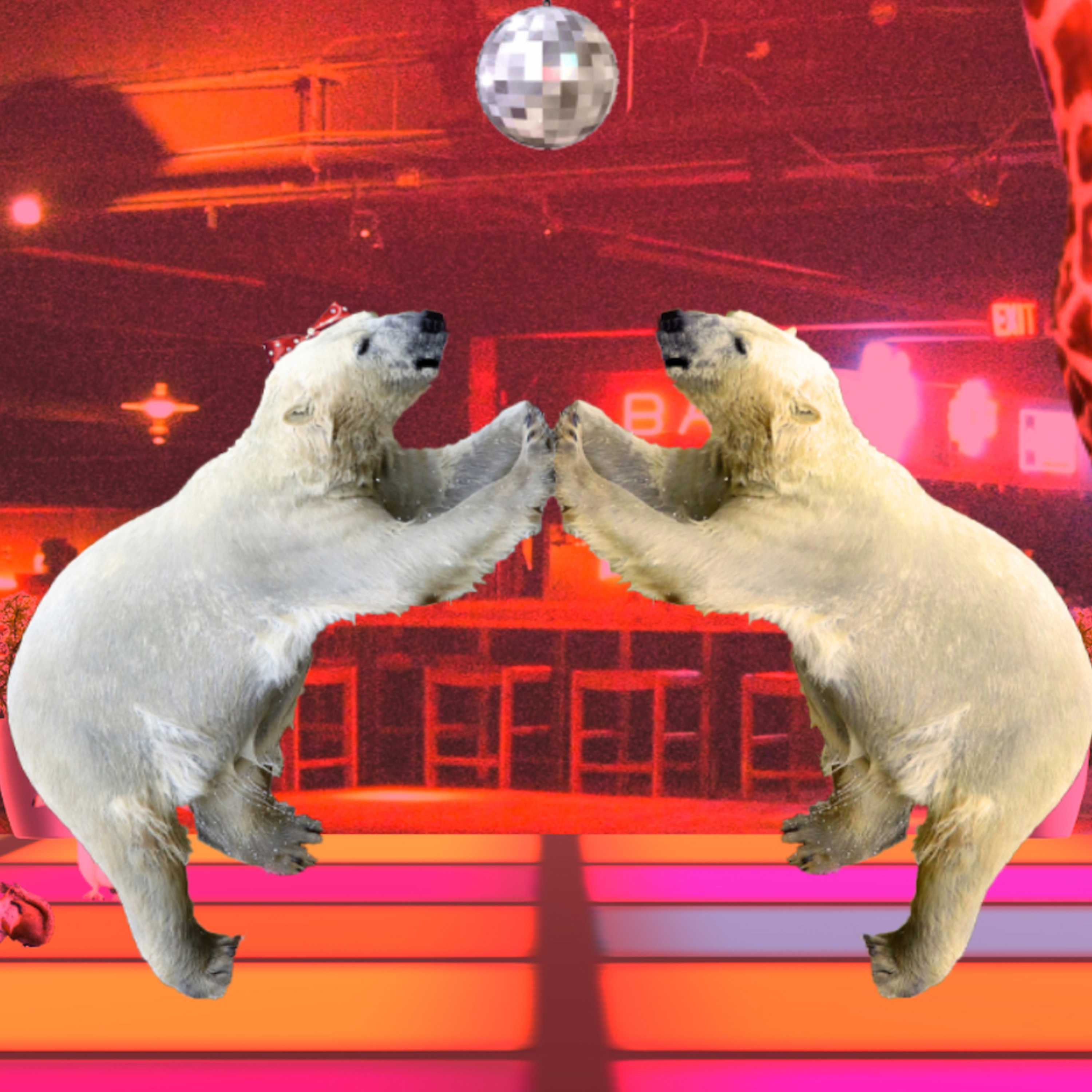 Abject Suffering 307: Disco Bear
