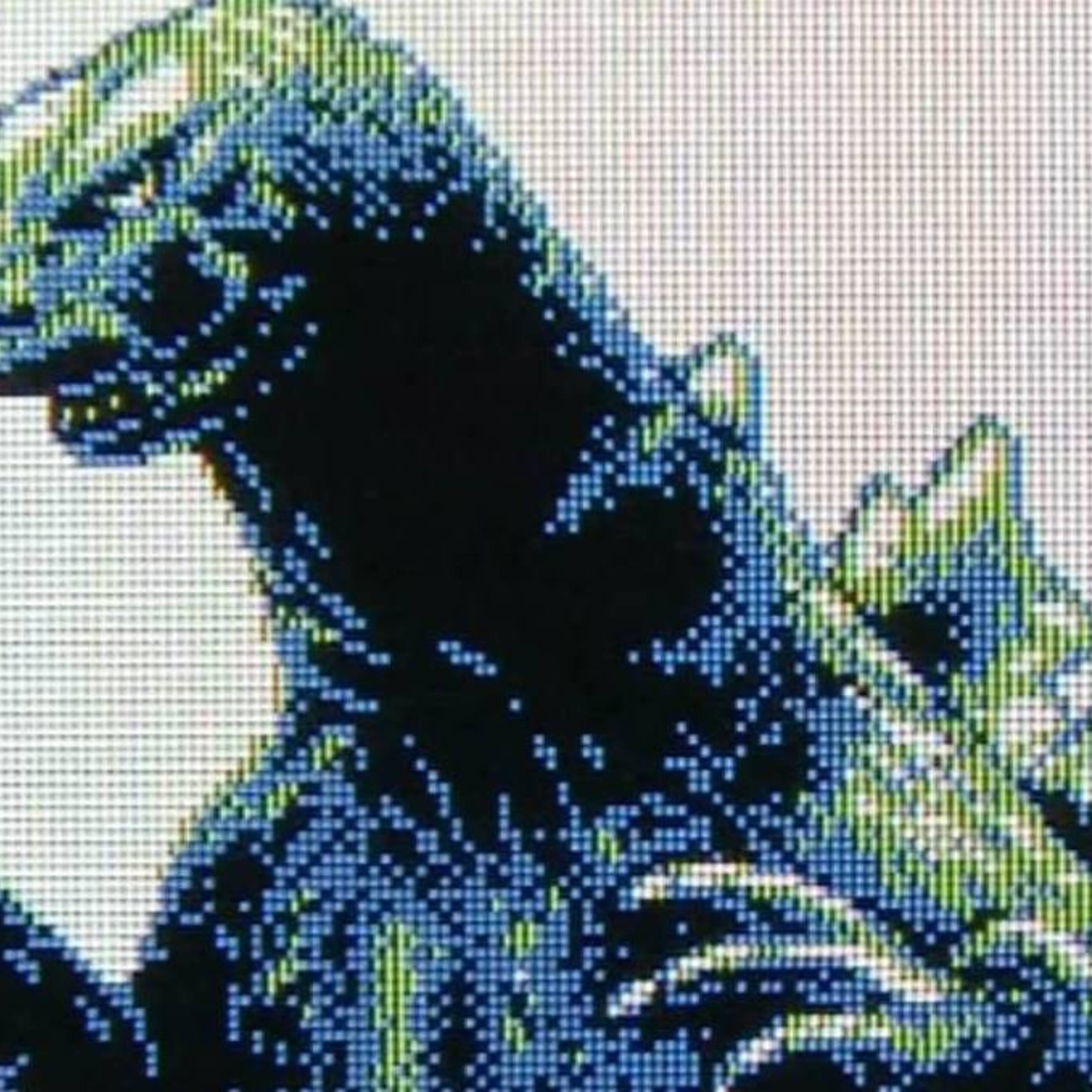 Abject Suffering 43: Godzilla