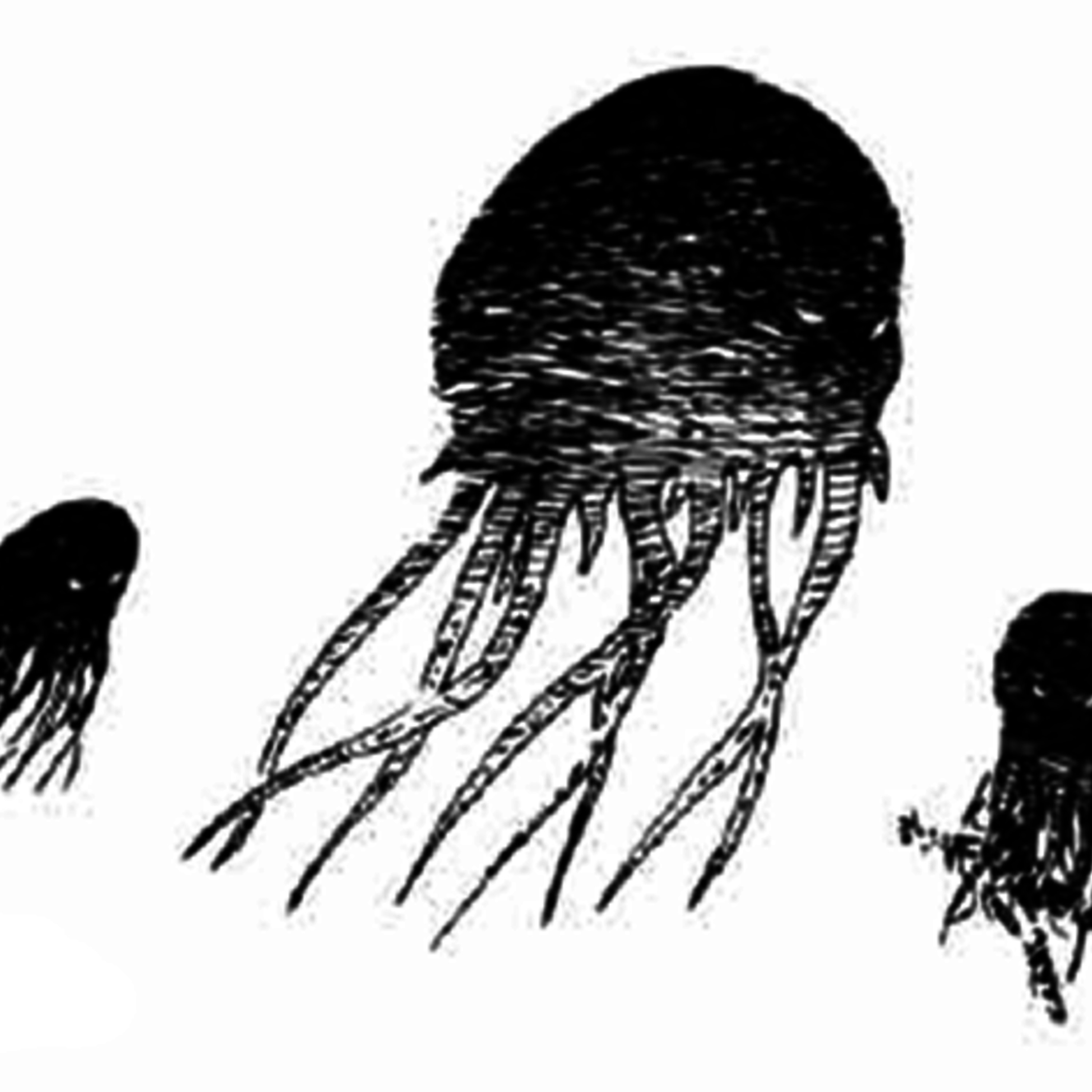 Monster in My Podcast: Guardians of Crystalizers of Dreams