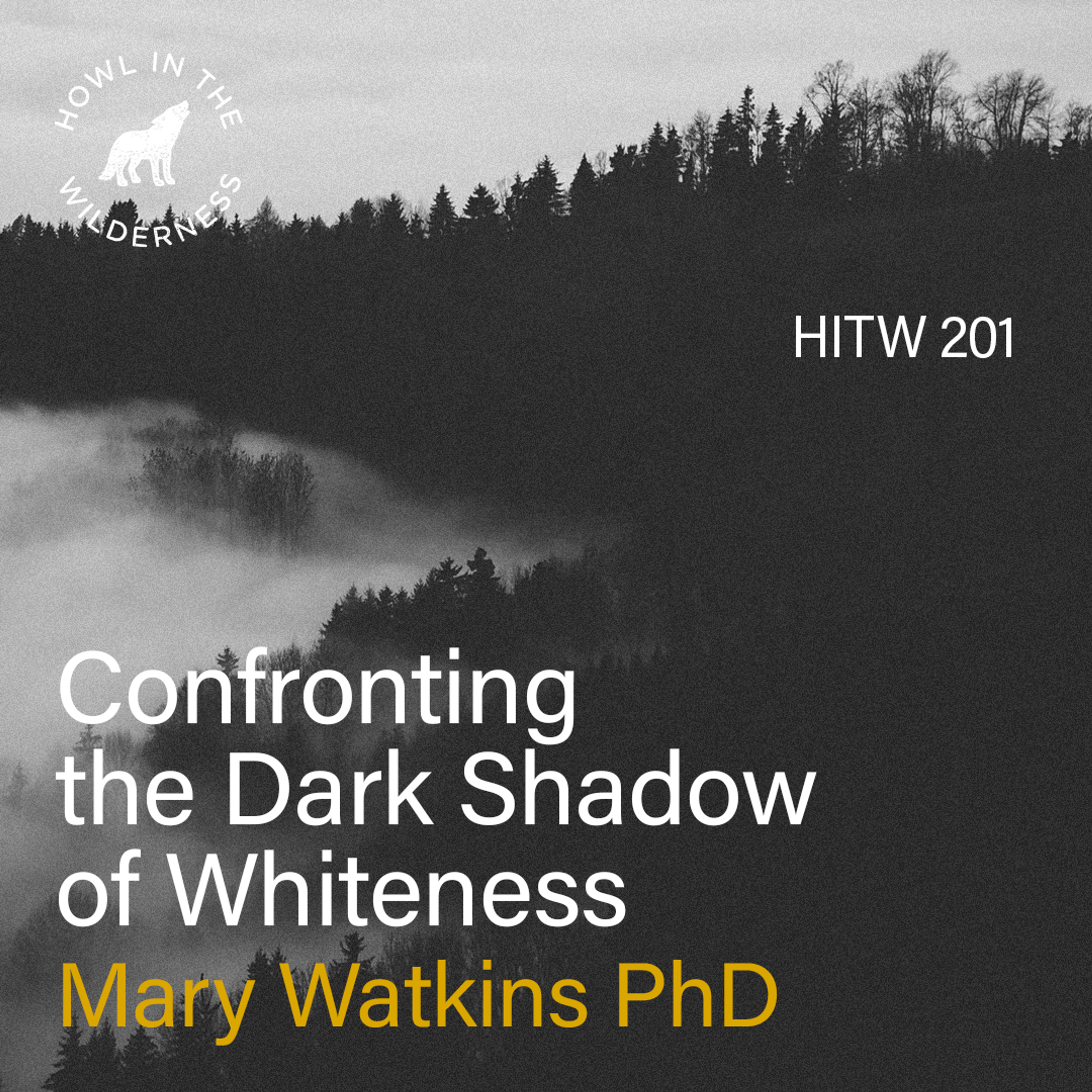 Confronting the Dark Shadow of Whiteness | Mary Watkins | HITW 201