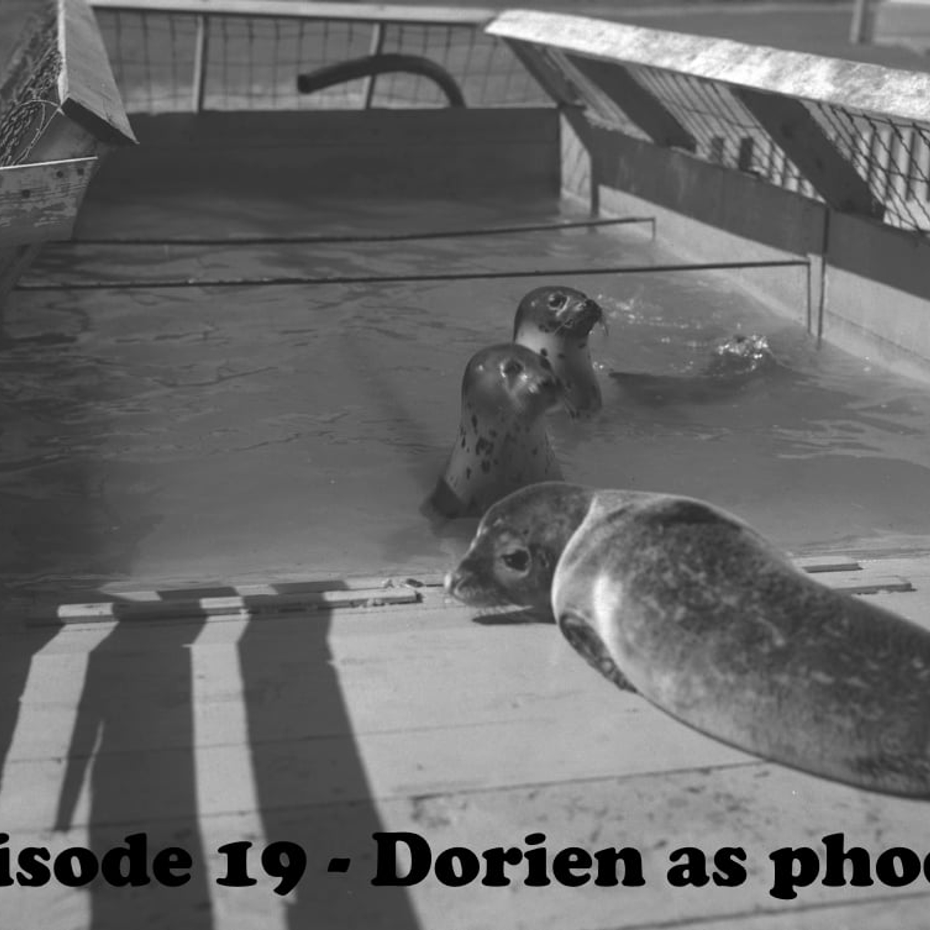 Épisode 19 - Dorien as phoque