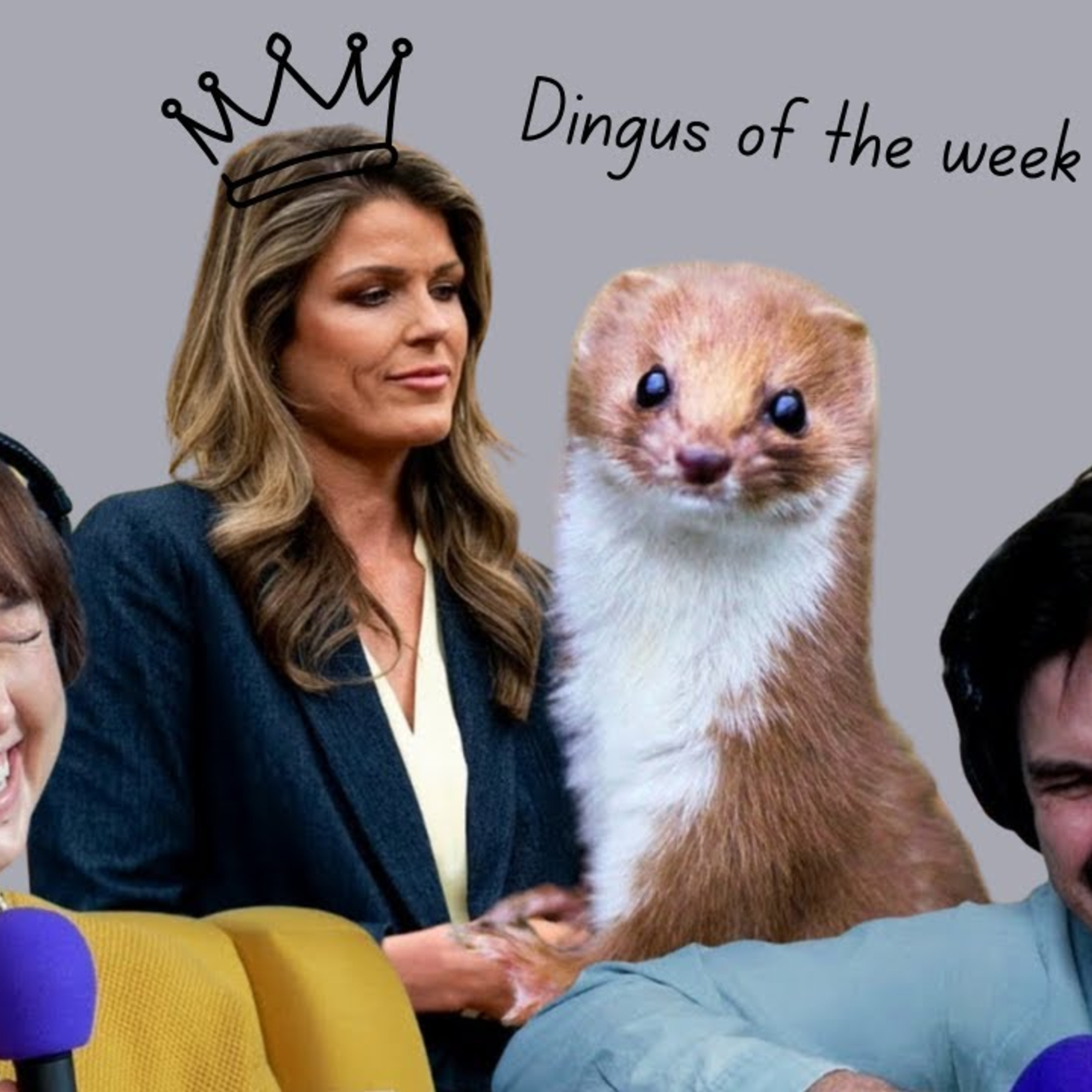 Dingus of the Week Podcast