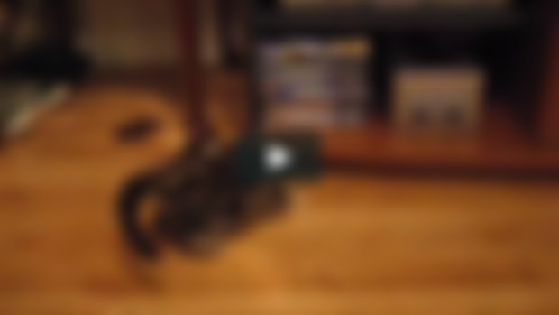 Right Pawed or Left Pawed? (Episode 80 - Bonus Content!)