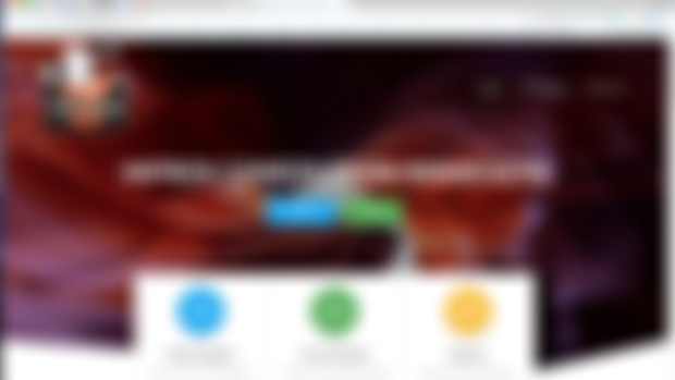The Website