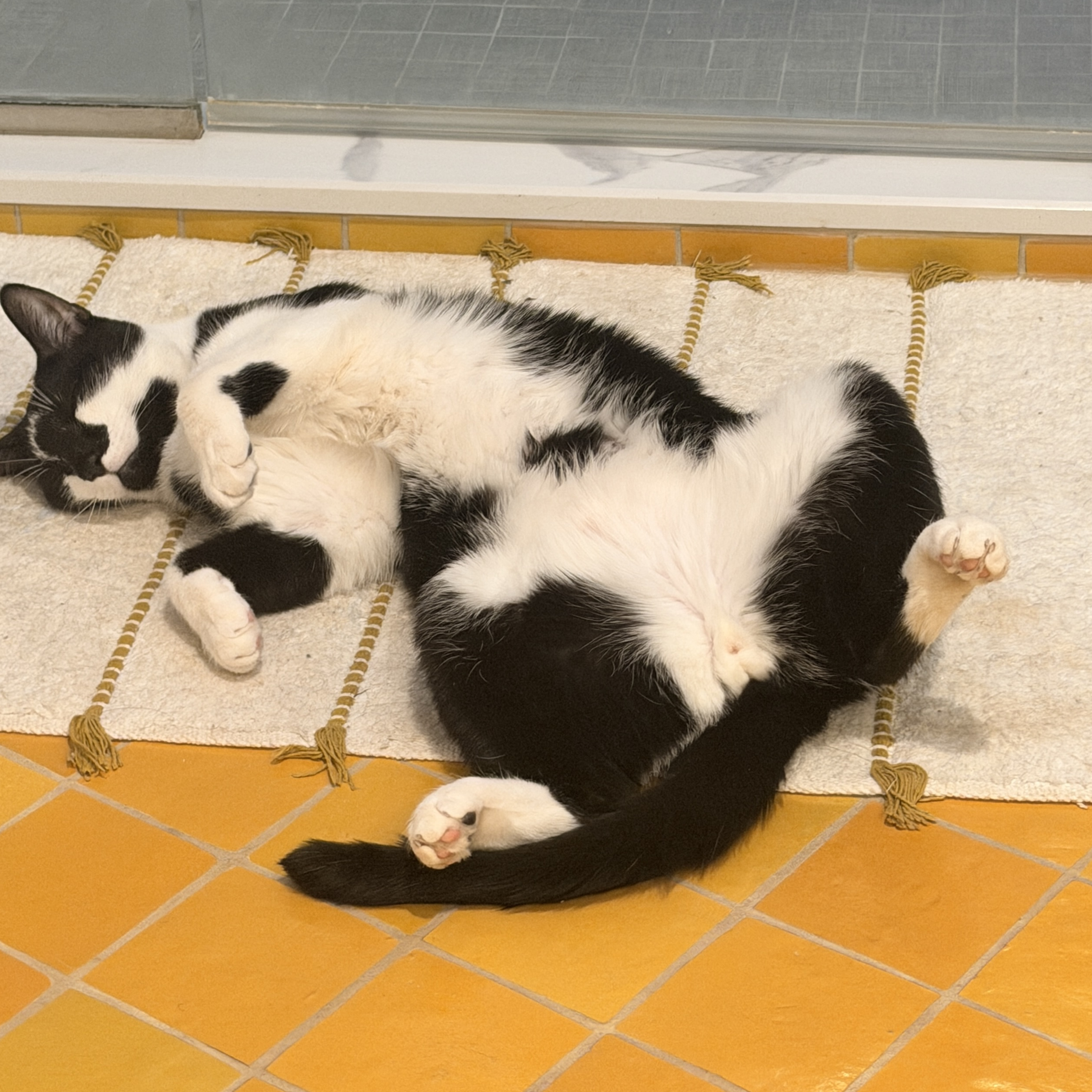 The Burnt Toast Podcast