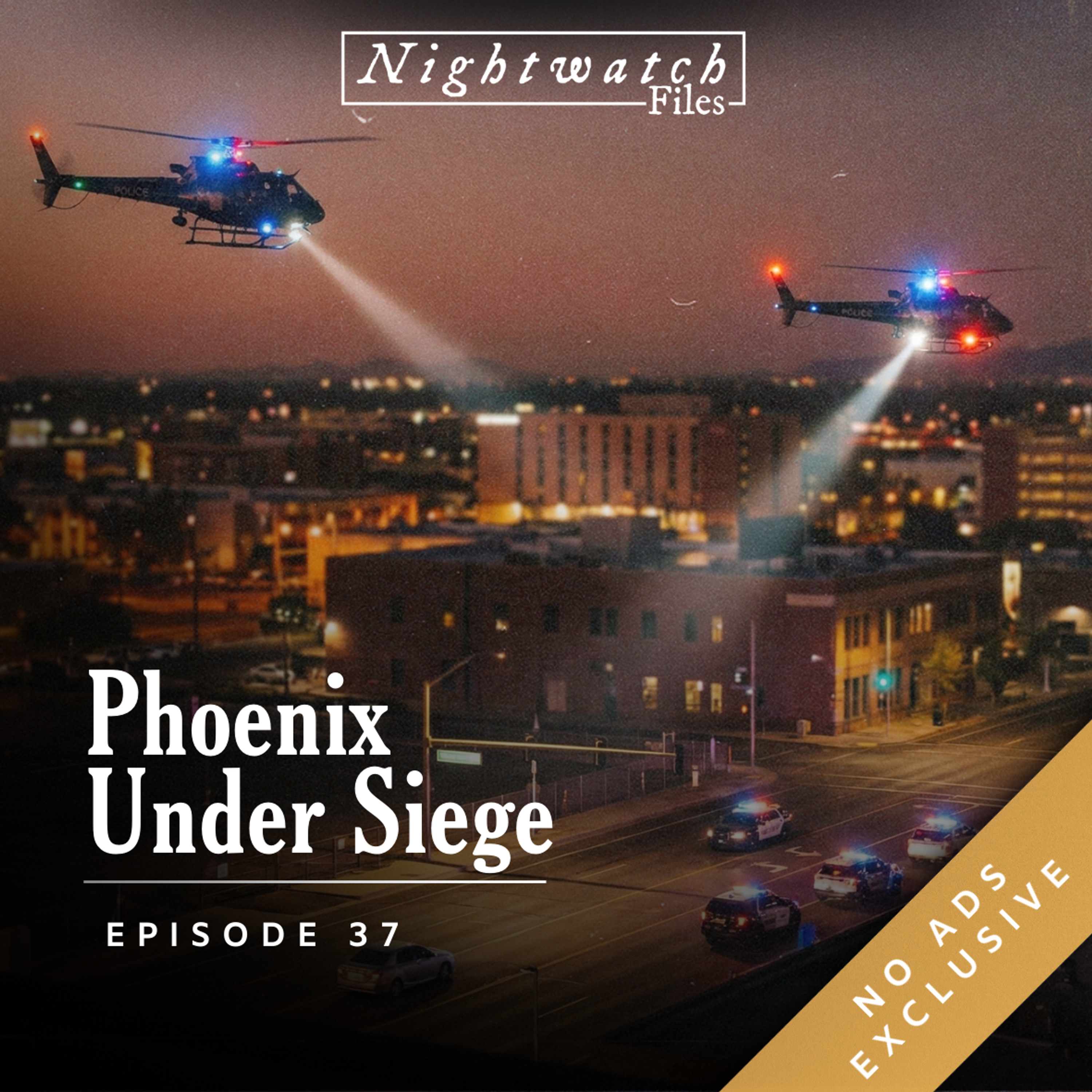[PREVIEW] #37: City Under Siege - The Search for The Phoenix Serial Shooters episode artwork
