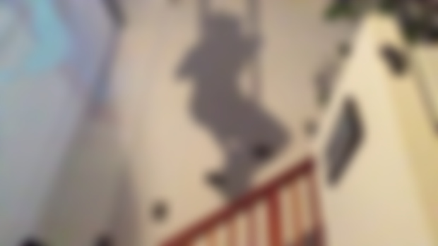 Shadow Training