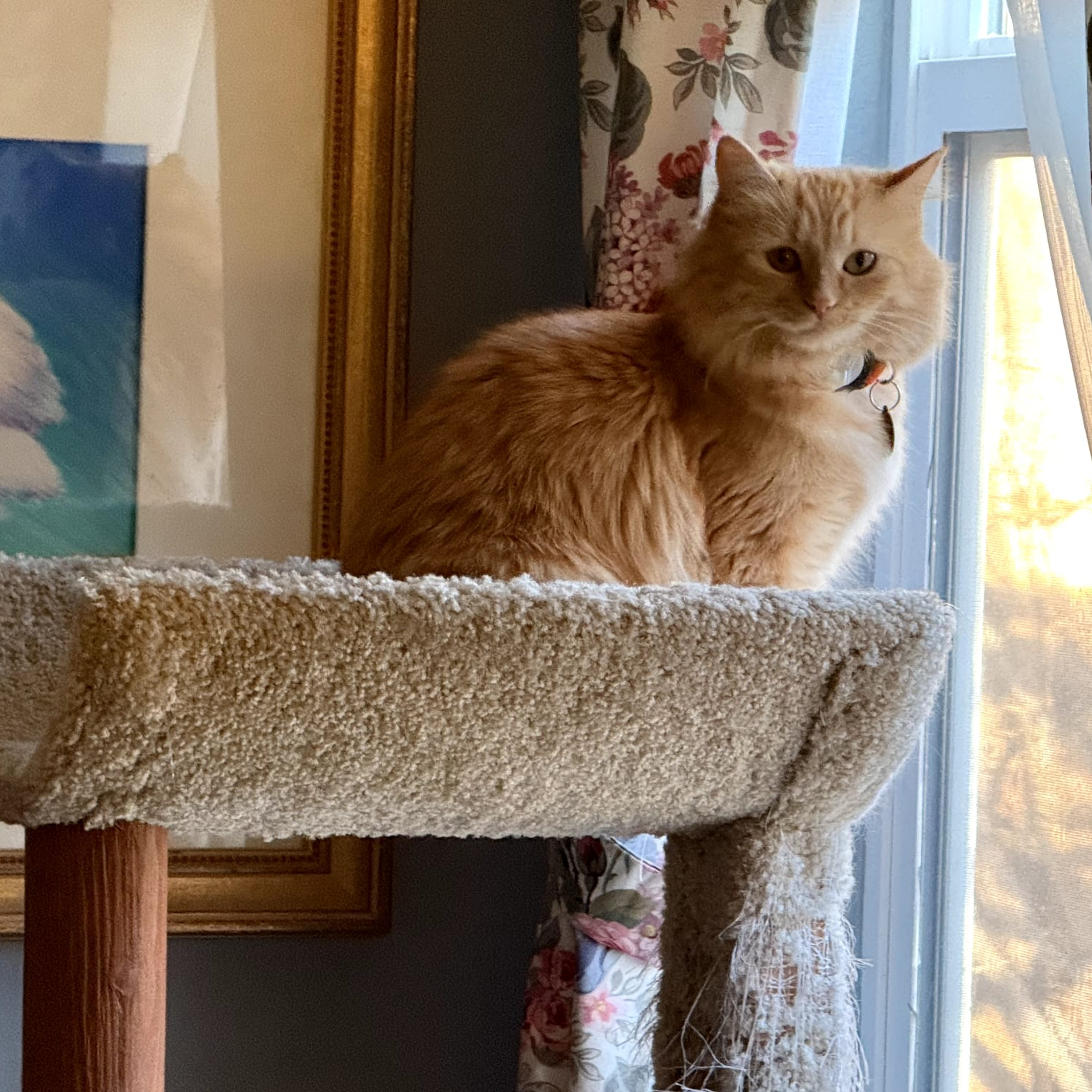 Words at Work: ESL for Every Day