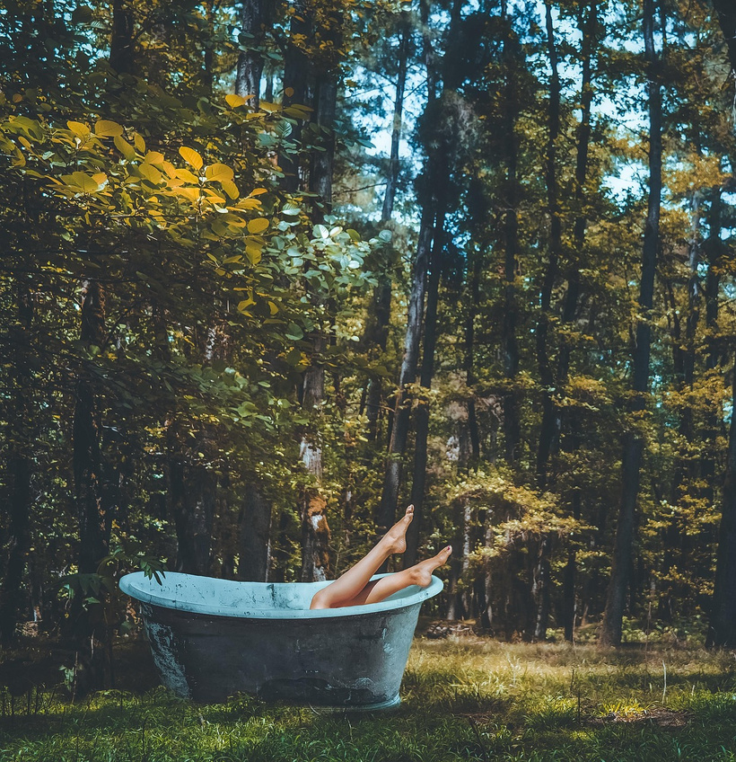 Una bañera en medio del bosque