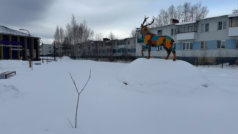 Фото: Леся Сарнавская