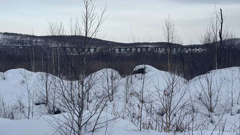 Фото: Леся Сарнавская