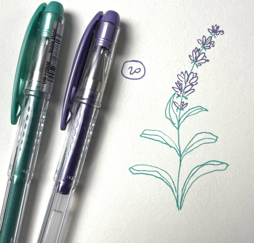 2026-03 - Lavande - On expérimente 4.jpg