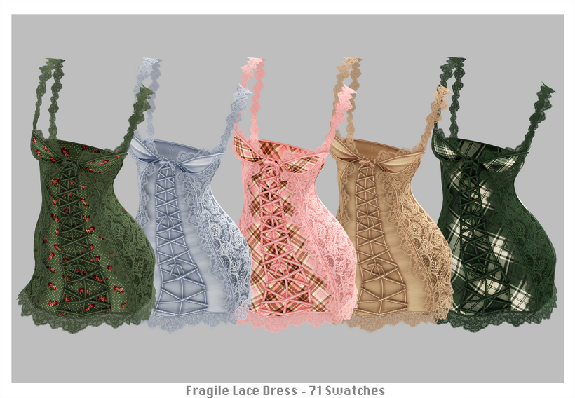 Fragile lace dress