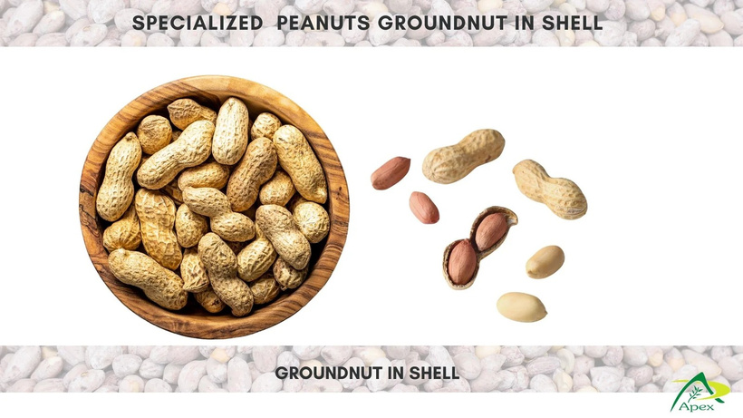 Tired of Inconsistent Kernel Size? Precision Grading from a Bold Peanut Exporter India Is the Fix