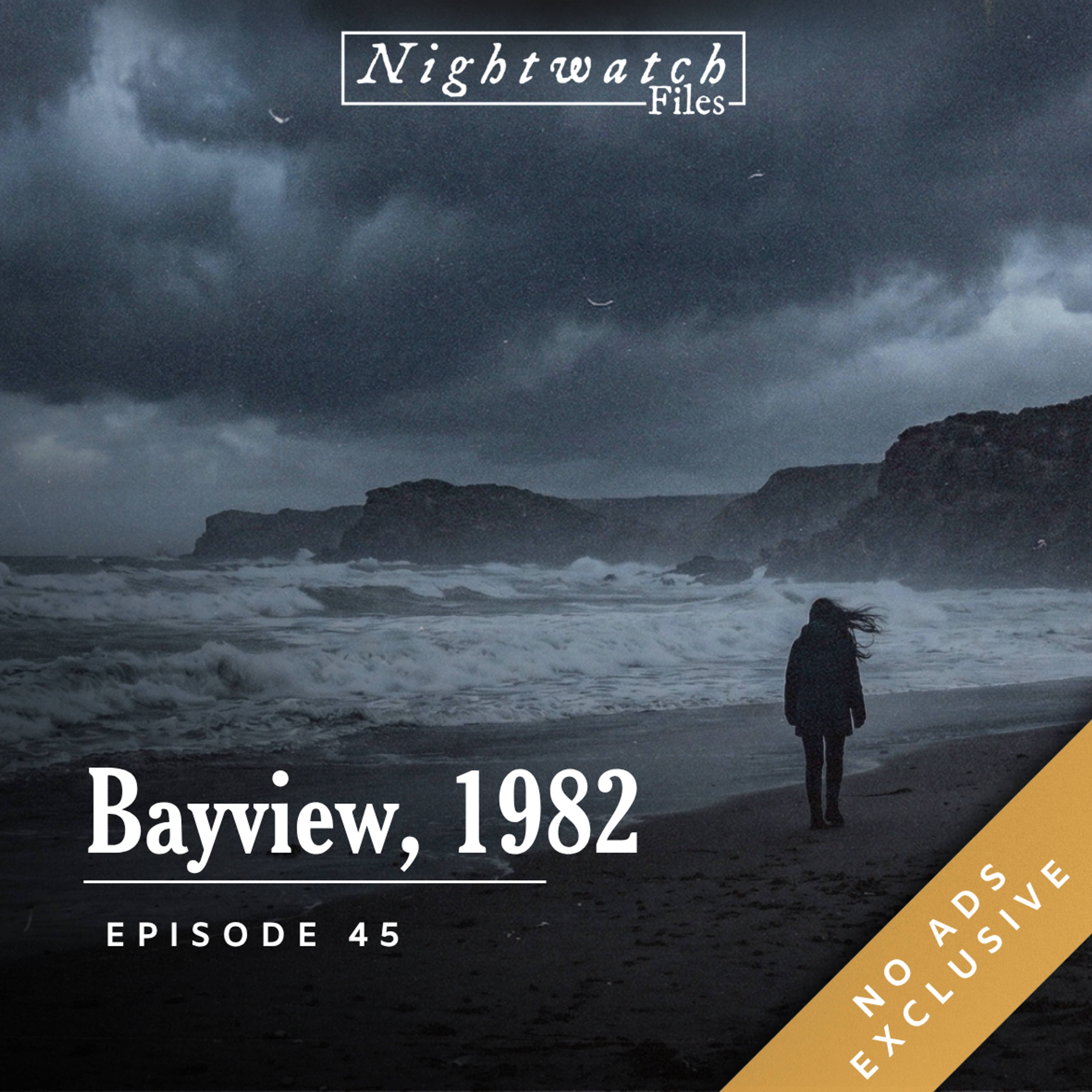 [PREVIEW] #45: How a Podcast Solved a 40-year Cold Case episode artwork