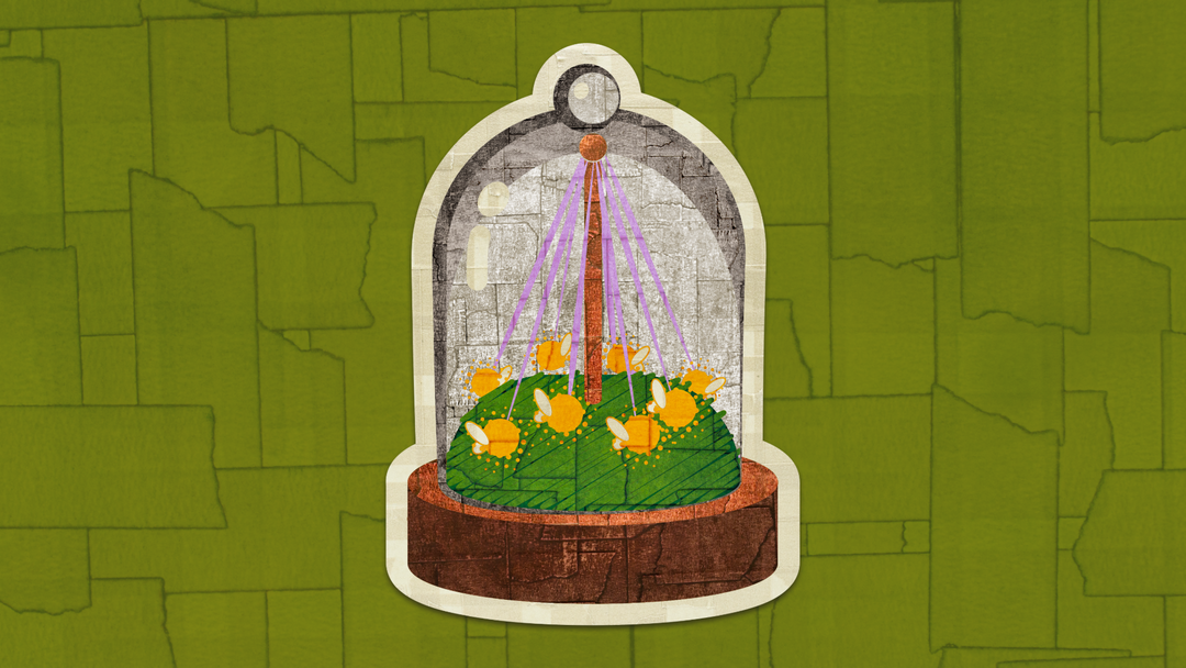 Feyfolk Cloche (5e Compatible)