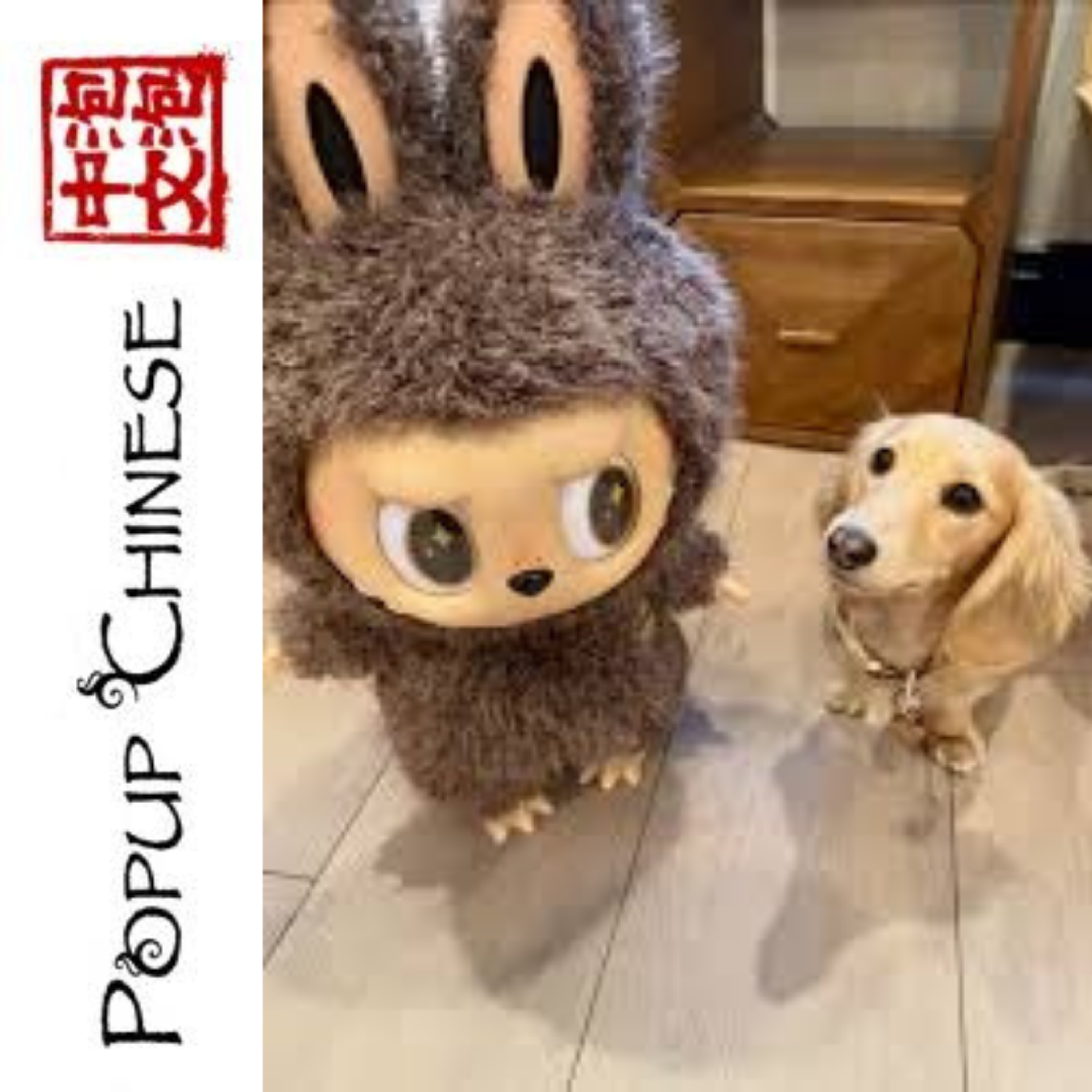 Popup Chinese — Elementary: The Overworked Kitten episode artwork