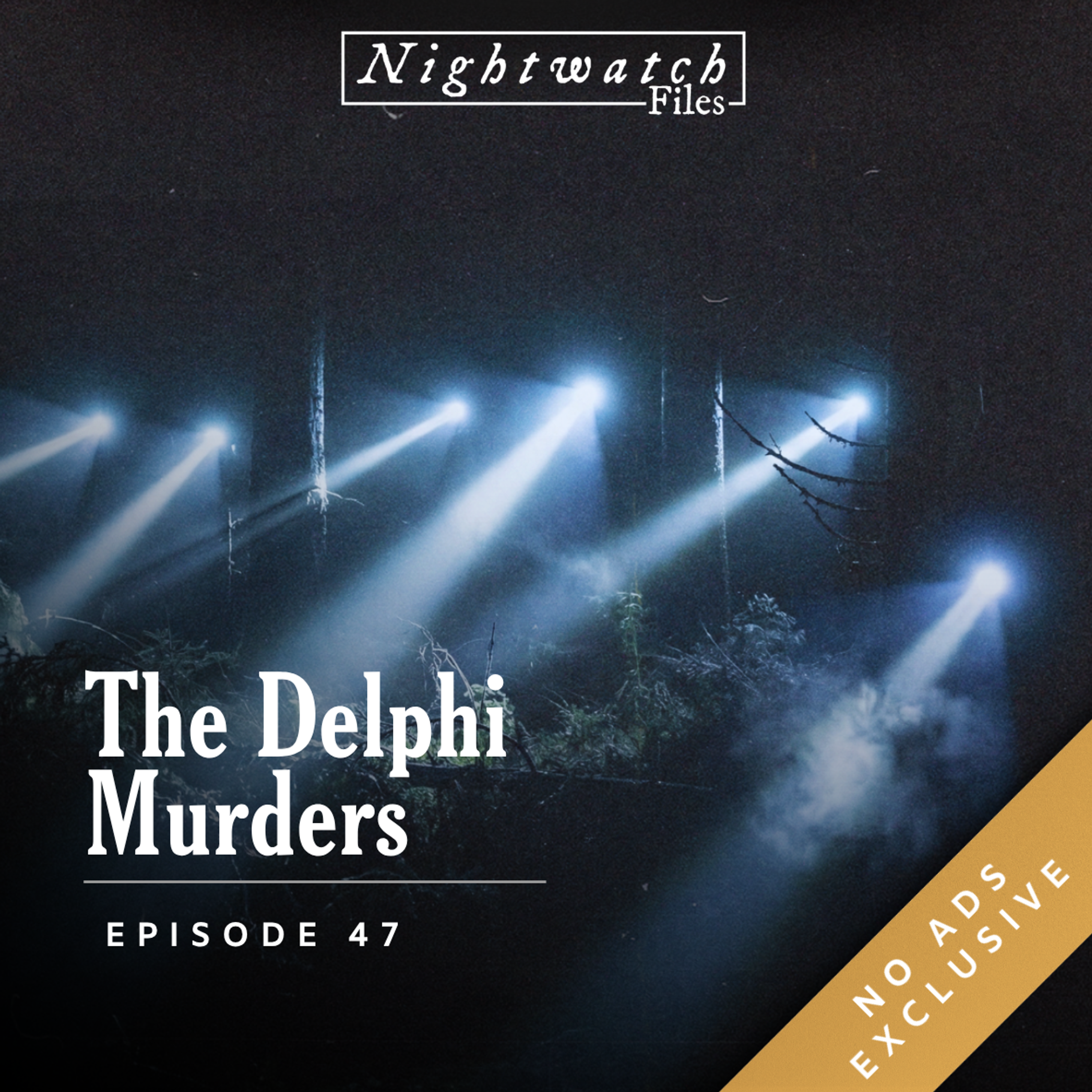 [PREVIEW] #47: The Delphi Murders episode artwork