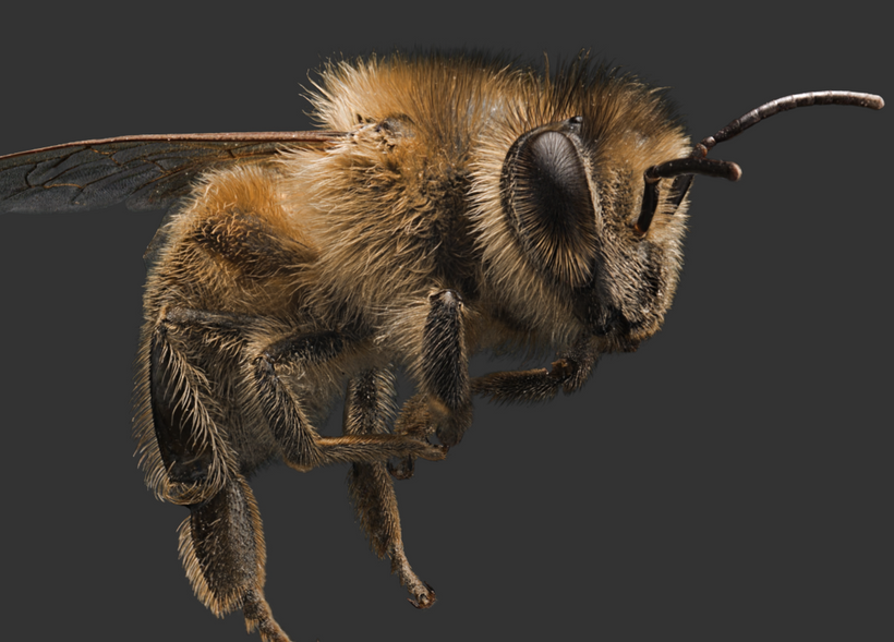image_0006.png