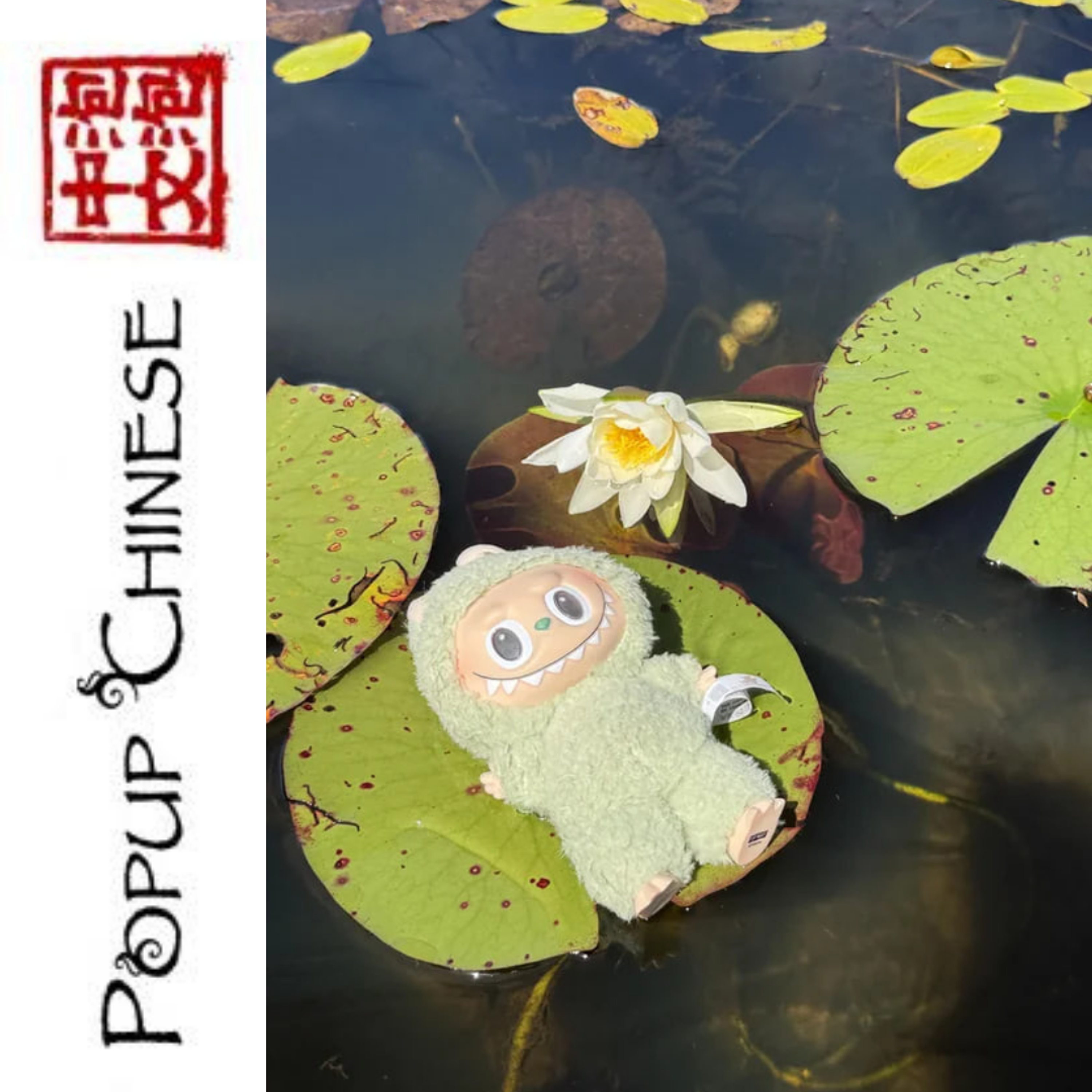 Popup Chinese — Absolute Beginners: Watership Down episode artwork