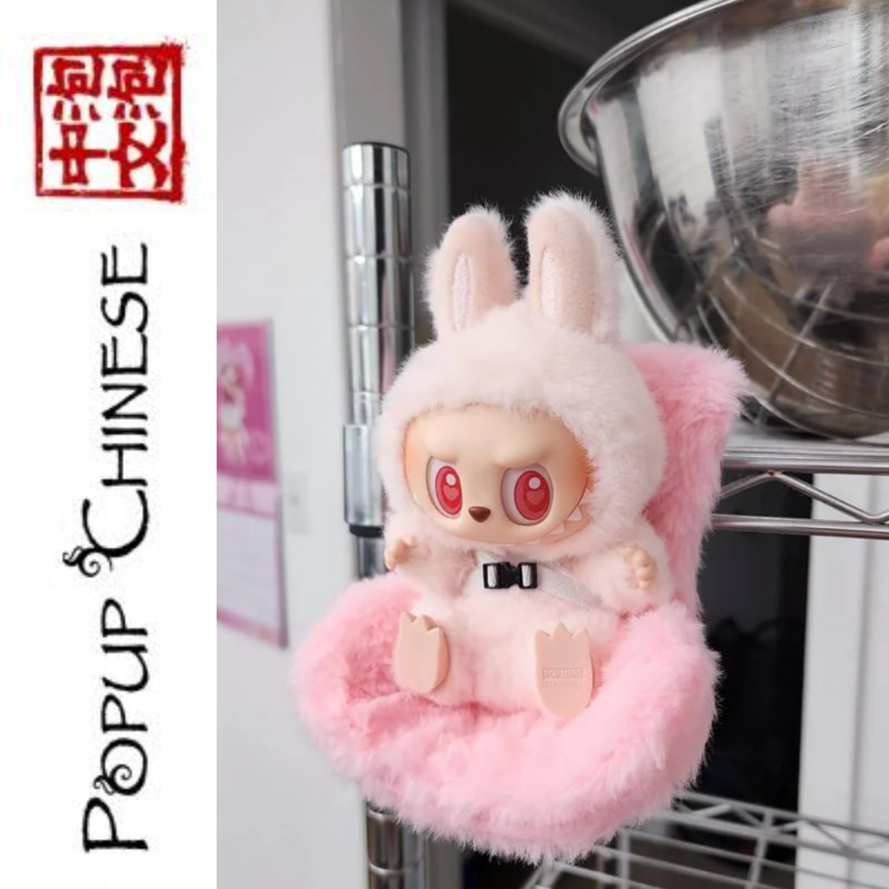 Popup Chinese — Intermediate: Unconventional Child Rearing episode artwork
