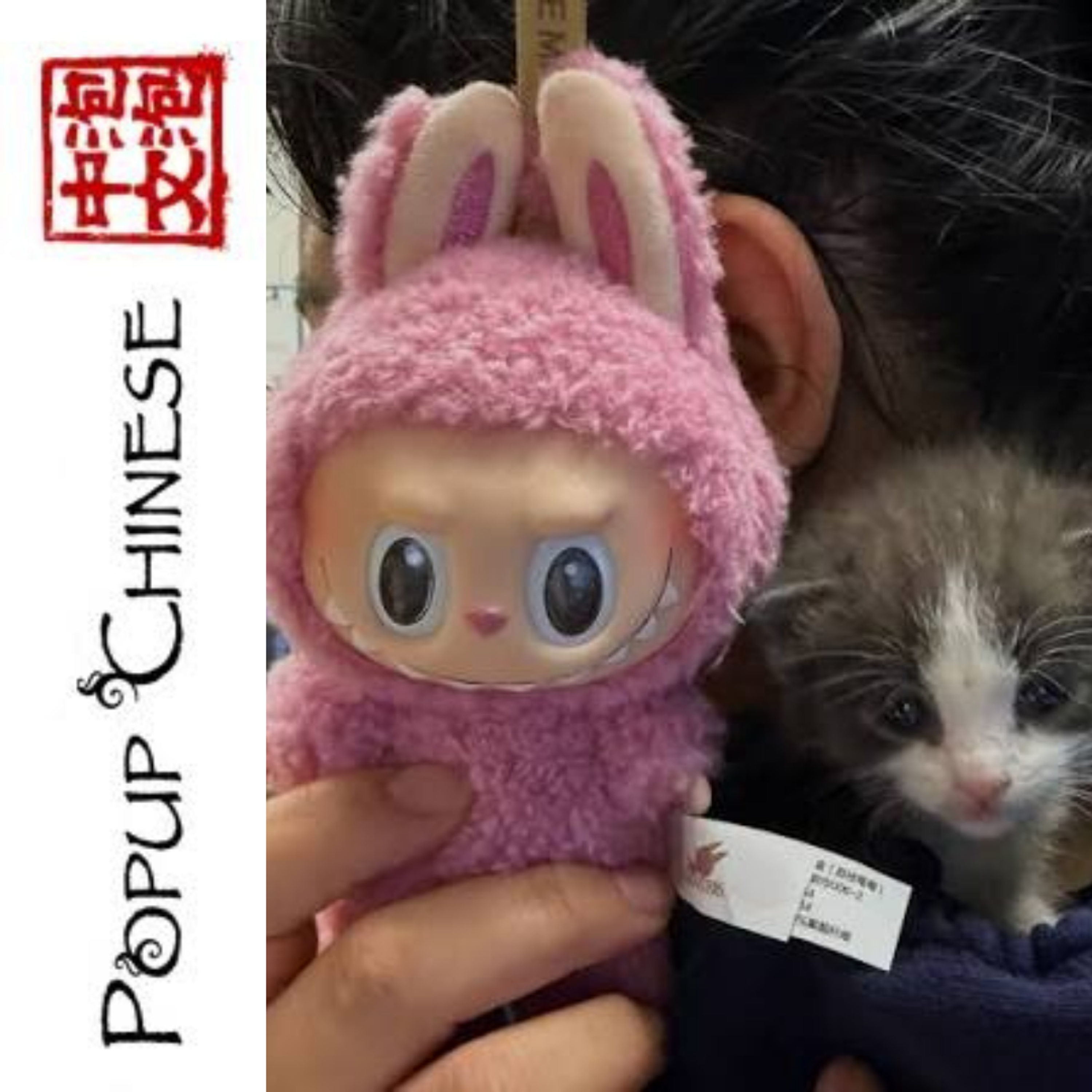 Popup Chinese — Elementary: The Filthy Kitten episode artwork