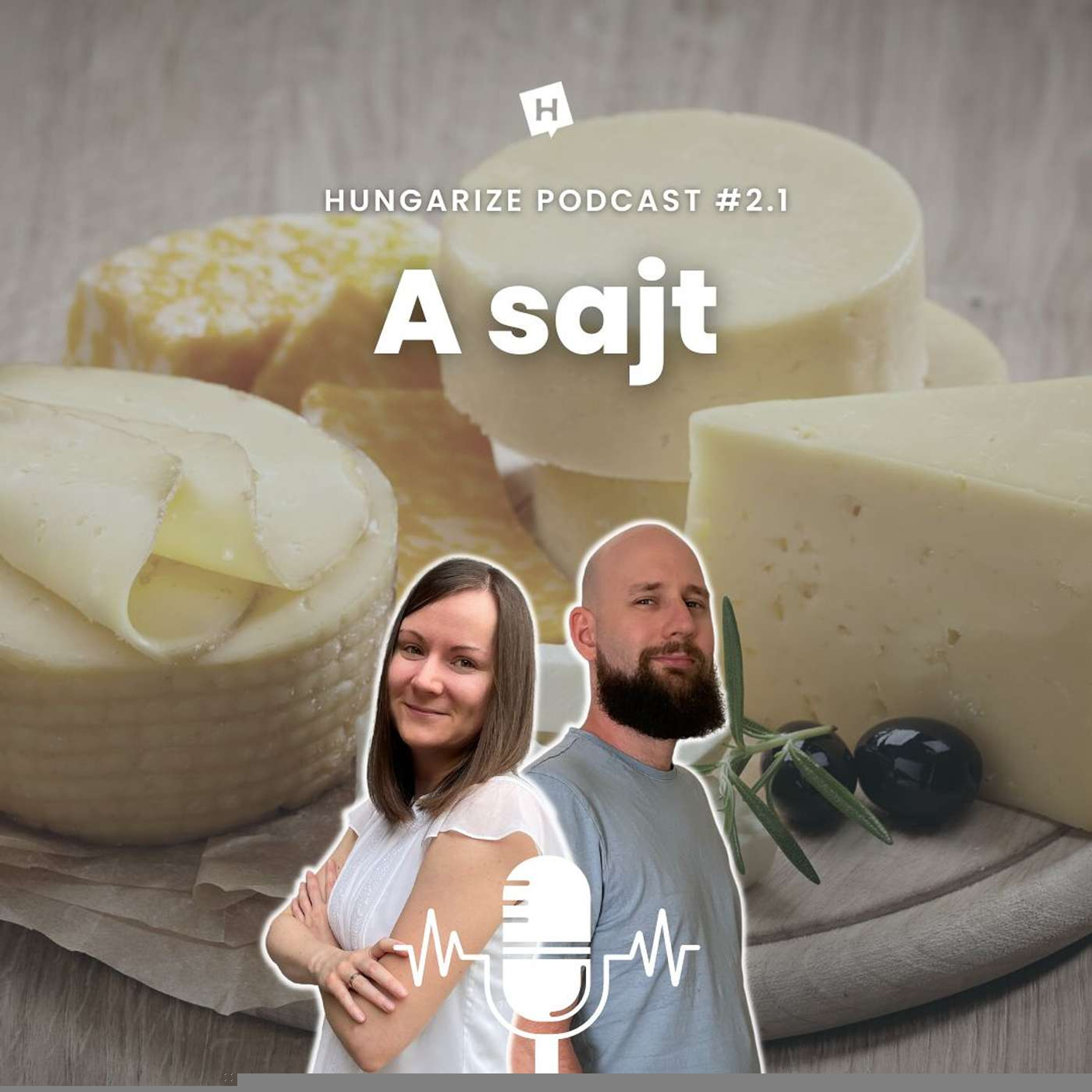 [PREVIEW] 2.1 - Sajt