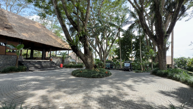 Open-air thatched reception pavilion at Alila Ubud with stone steps, large trees and a circular cobbled forecourt