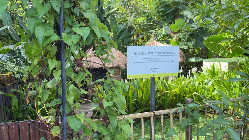 Information sign beside a wooden fence among dense tropical foliage, with a thatched-roof hut behind.