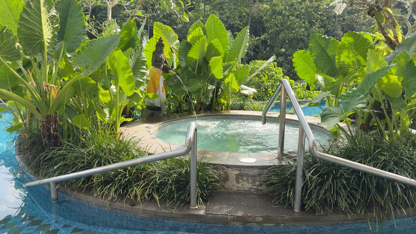 Round hot tub with metal handrails, surrounded by large-leaved tropical plants at the edge of the pool.