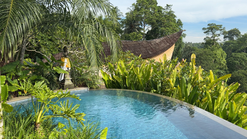 Curved edge of the infinity pool with tropical plants and a thatched-roof building above, overlooking the valley.