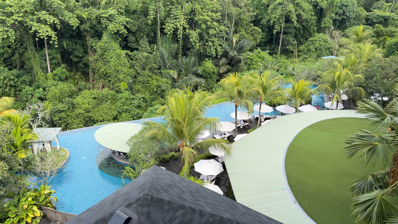 View down from the balcony to the resort pool, loungers and white parasols, surrounded by palm trees and jungle.