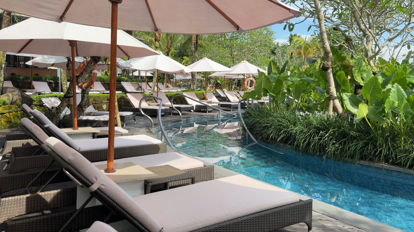 Rows of sun loungers and white parasols along the pool, with palm trees and jungle in the background.