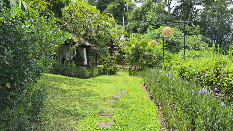 Grass path with stepping stones leading through flowering shrubs to a small wooden pavilion among trees.