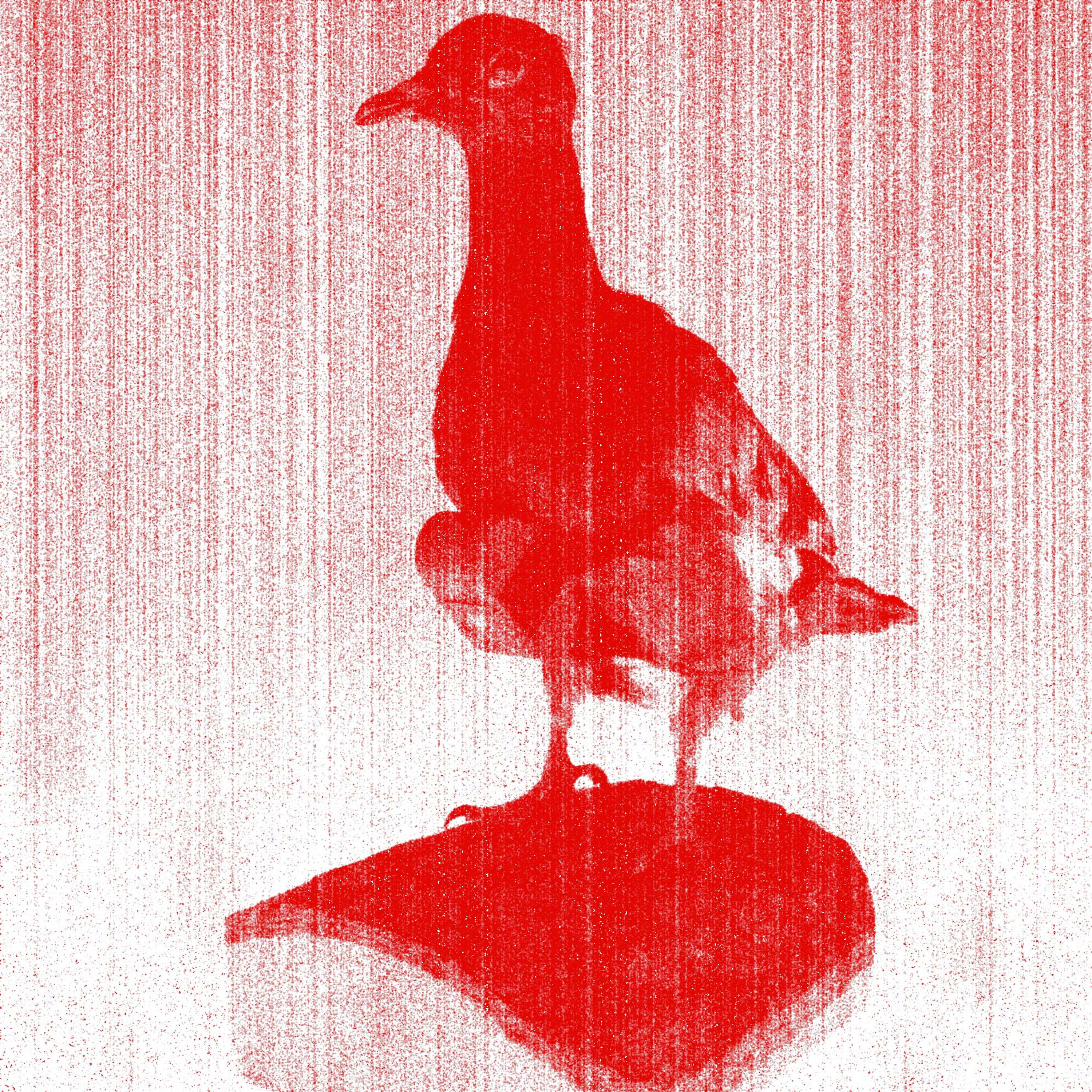 Episode 582: Bird Penetration System artwork