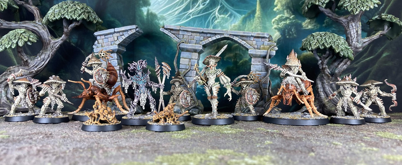 Some of the customizable miniatures of the Fungal Court, painted by the talented Dave Wright!