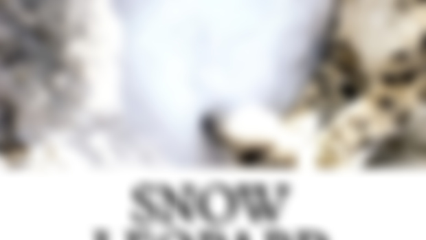 April's Fantastic Fable: Snow Leopard