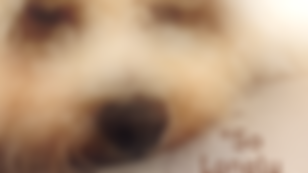 [MP3] So Lonely Woofout You