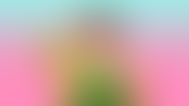 Wallpaper | Novelty