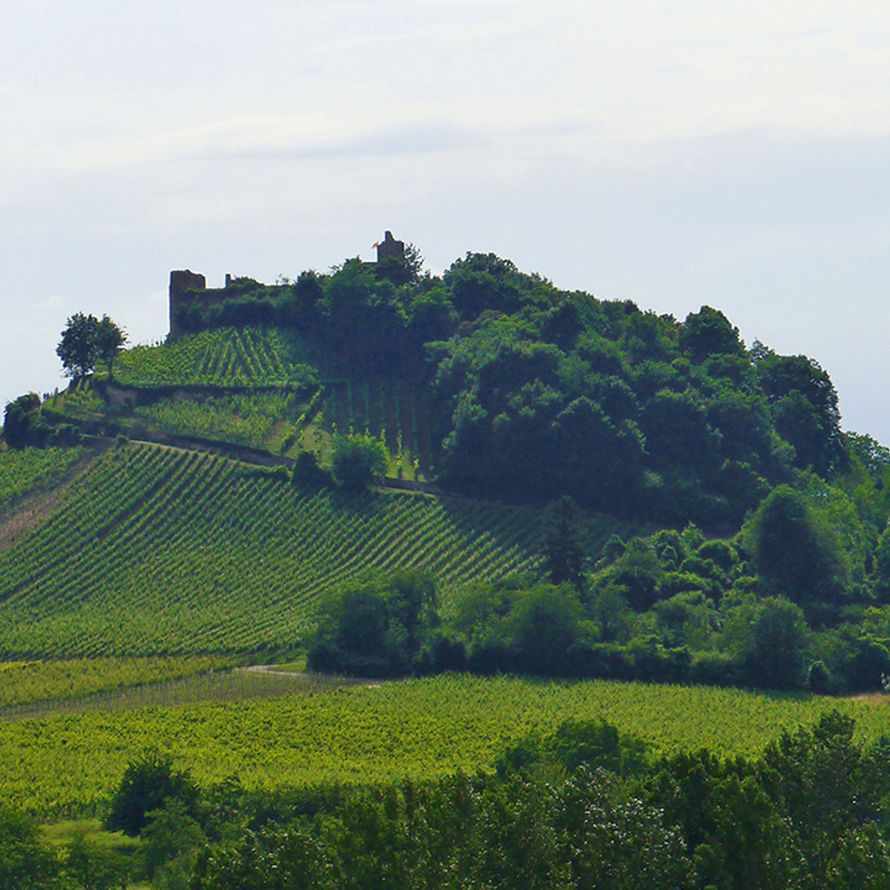 Manawaker Studio\'s Flash Fiction Podcast