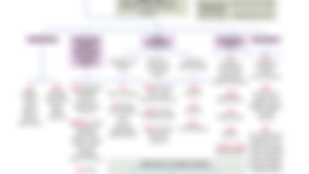 Oncogenes and Tumor Supressor Genes ( Flow Chart )